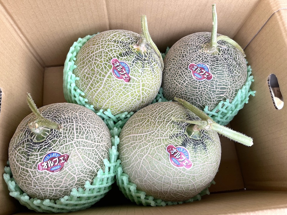 さっぱりとした甘味が特徴の「オルフェ」メロン