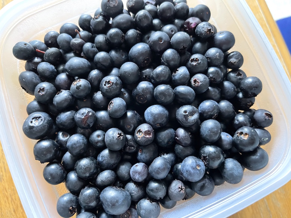 洗浄したブルーベリー