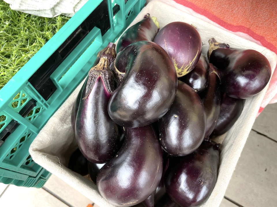 なす（水茄子・長茄子）