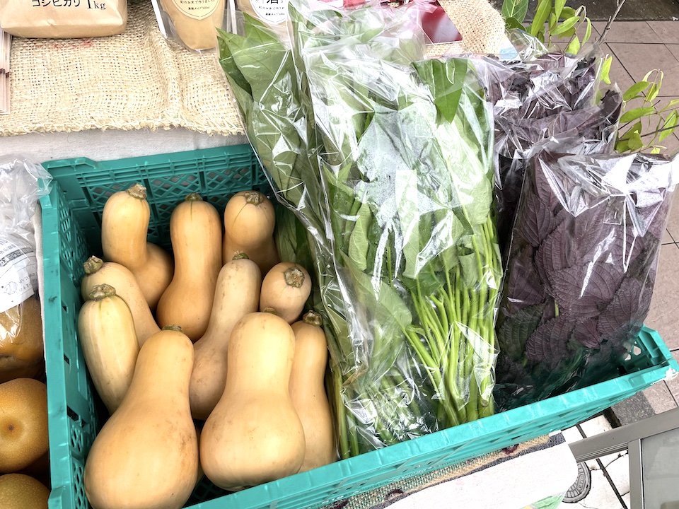バターナッツ、空芯菜、赤紫蘇