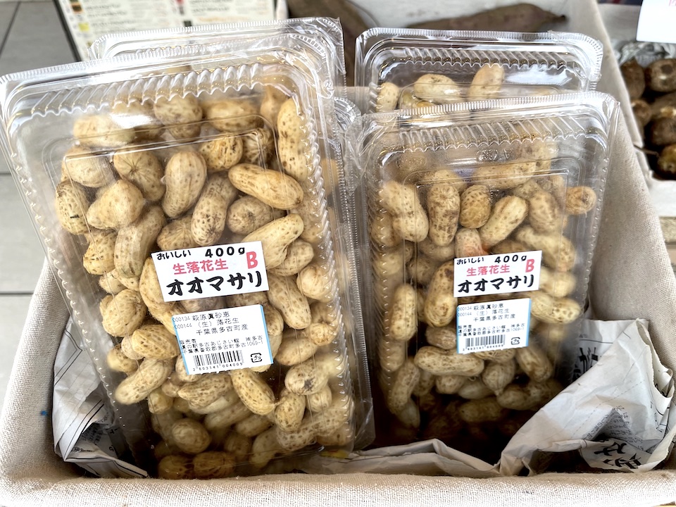 生落花生（オオマサリ）