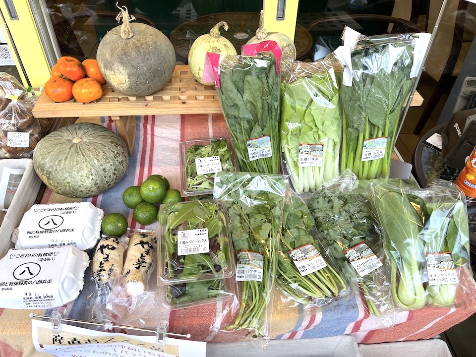 定番の有機葉物野菜