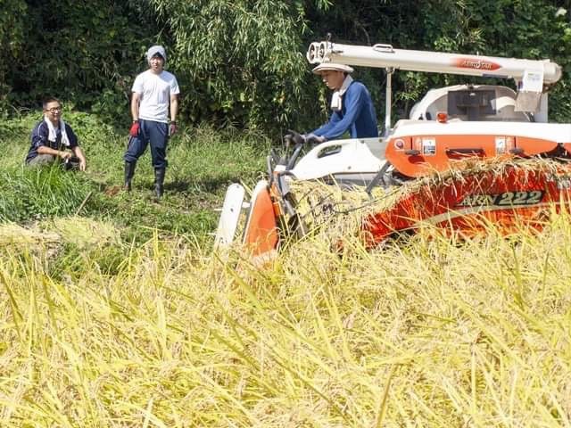 耕作放棄地の利活用