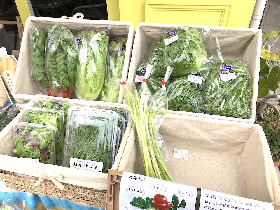 葉物野菜