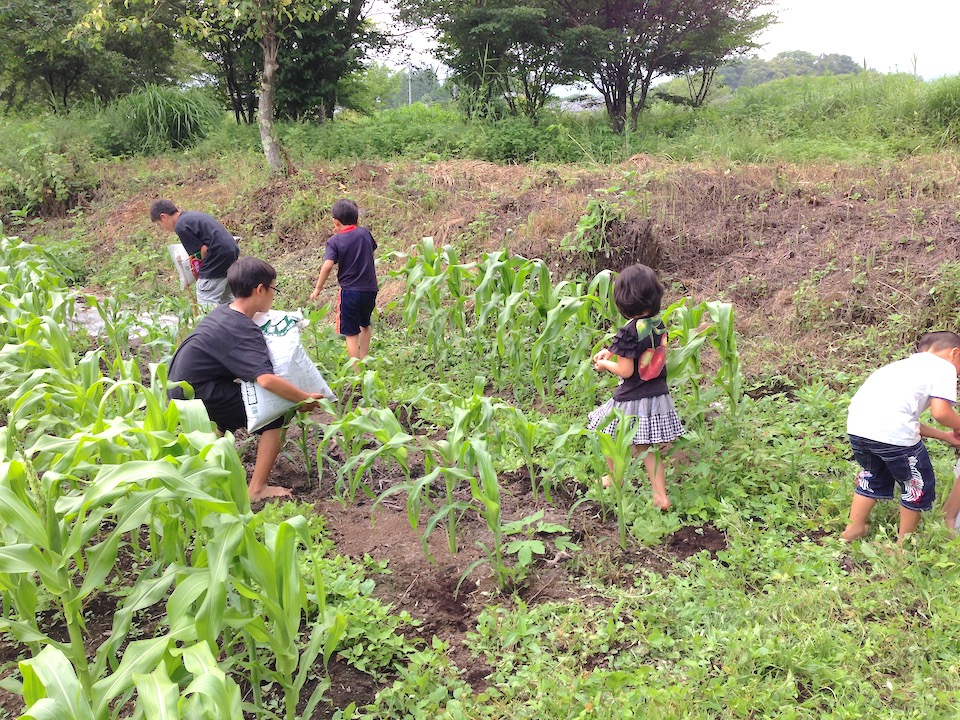 軽井沢で収穫体験
